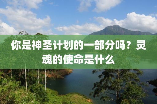 你是神圣计划的一部分吗？灵魂的使命是什么