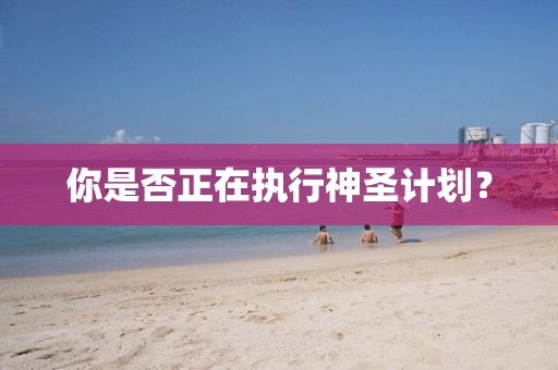 你是否正在执行神圣计划？