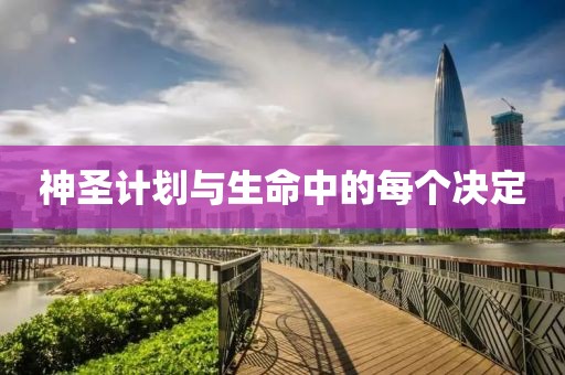 神圣计划与生命中的每个决定