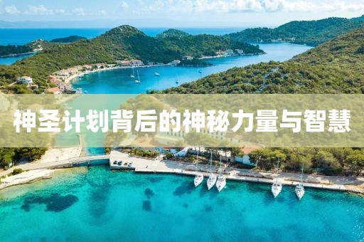神圣计划背后的神秘力量与智慧